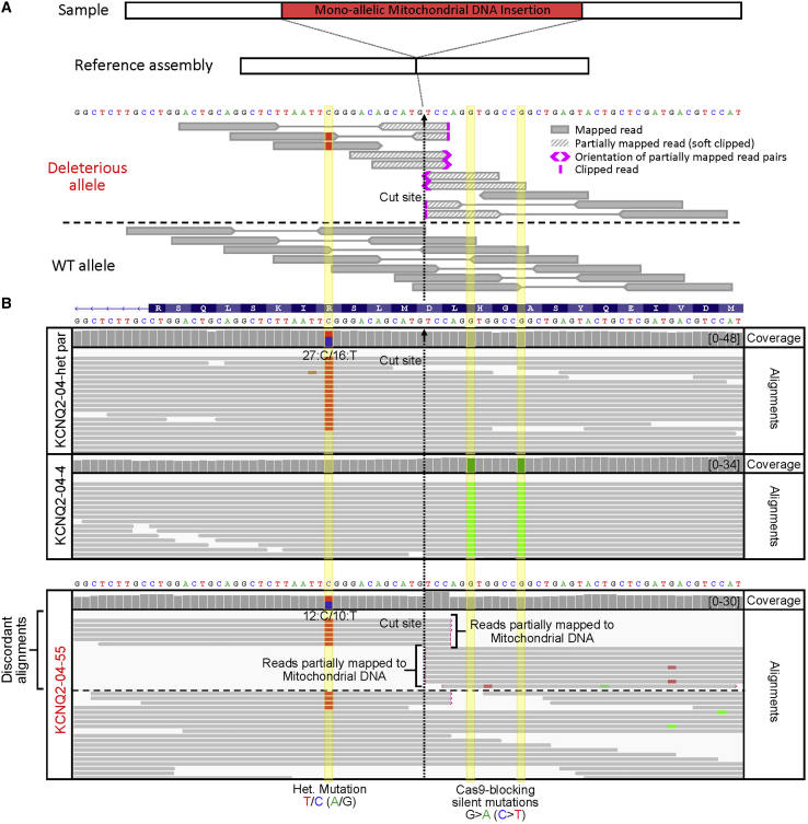 Figure 4