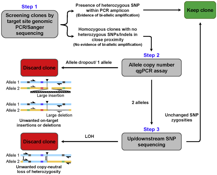 Figure 7