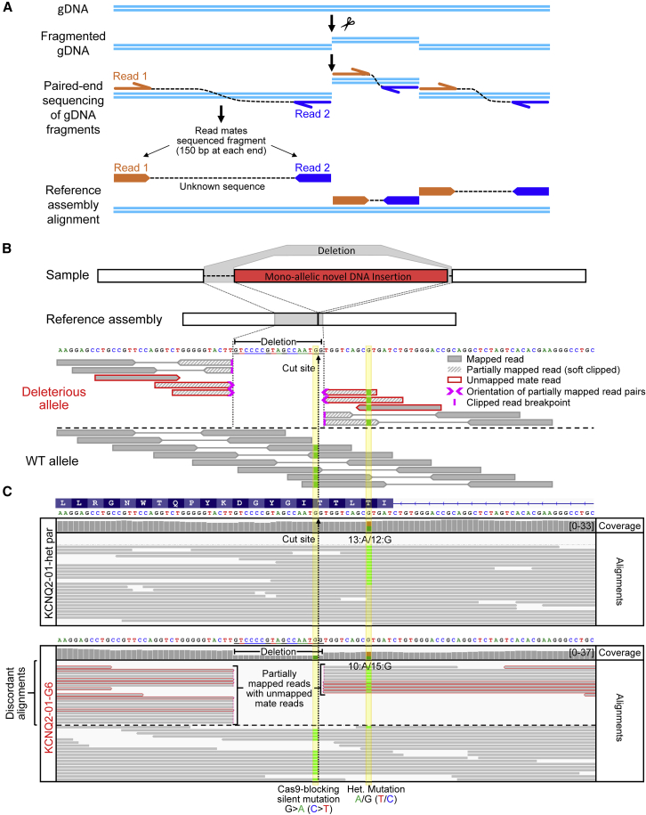 Figure 3