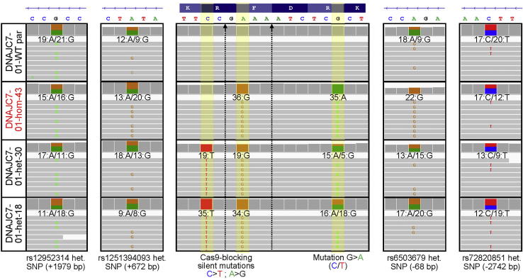 Figure 6