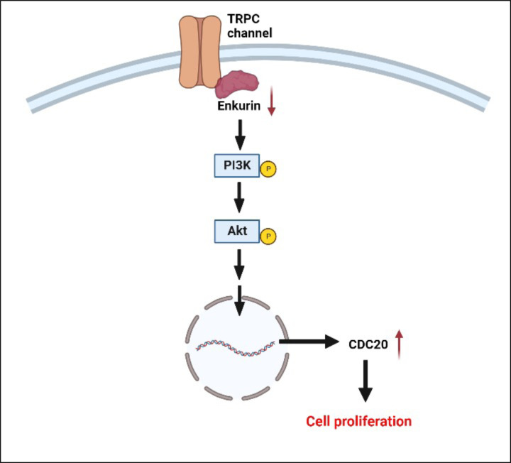 Figure 6: