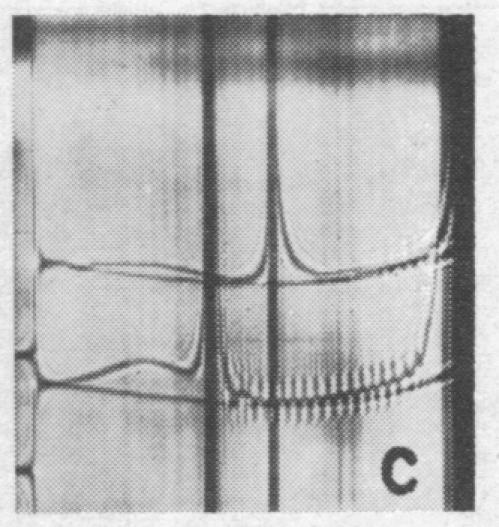 graphic file with name pnas00164-0189-a.jpg