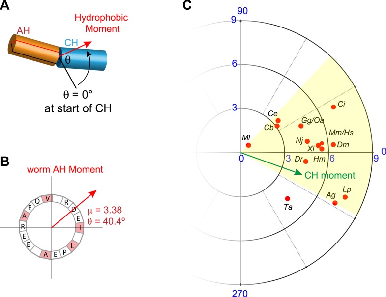 Figure 3—figure supplement 1.