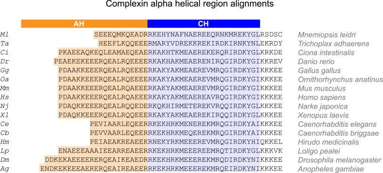 Figure 1—figure supplement 1.