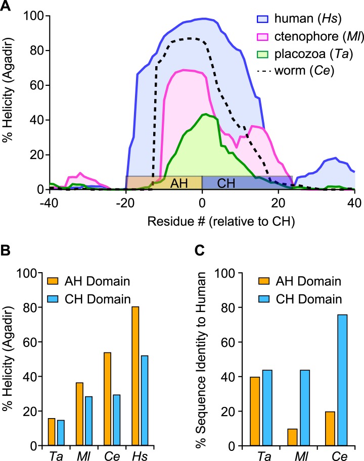 Figure 1—figure supplement 2.