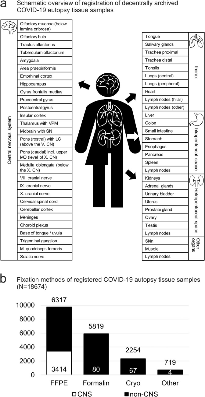 Figure 6: