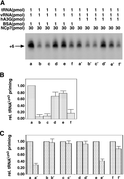 FIG. 6.