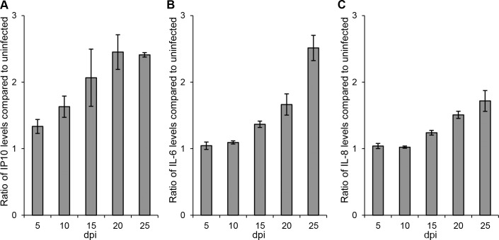 Fig 4