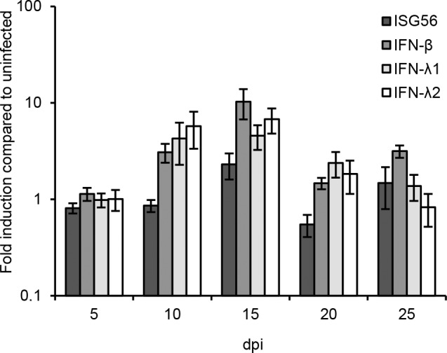 Fig 3