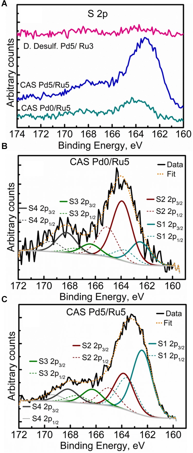 FIGURE 11