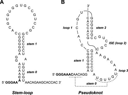 FIGURE 1.