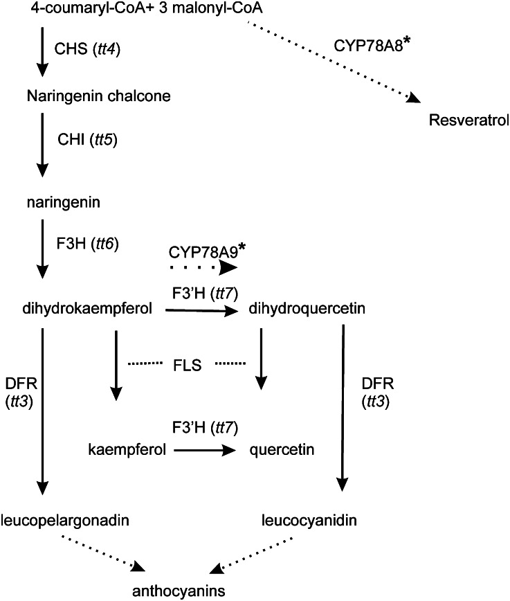 Figure 9.