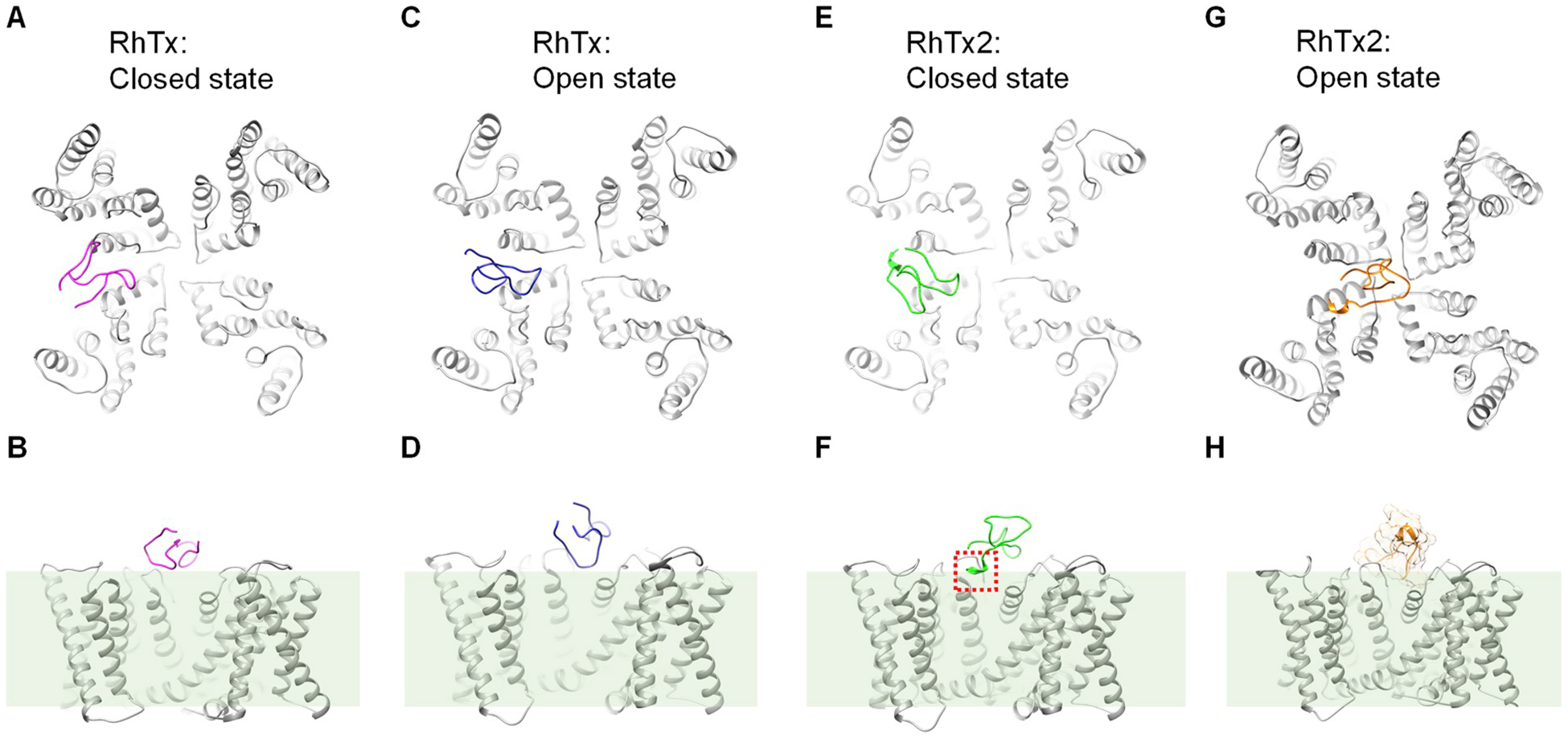 Fig. 6.