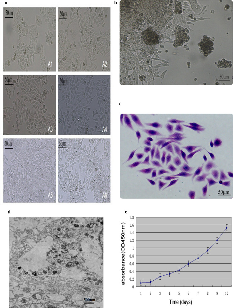 Fig. 1