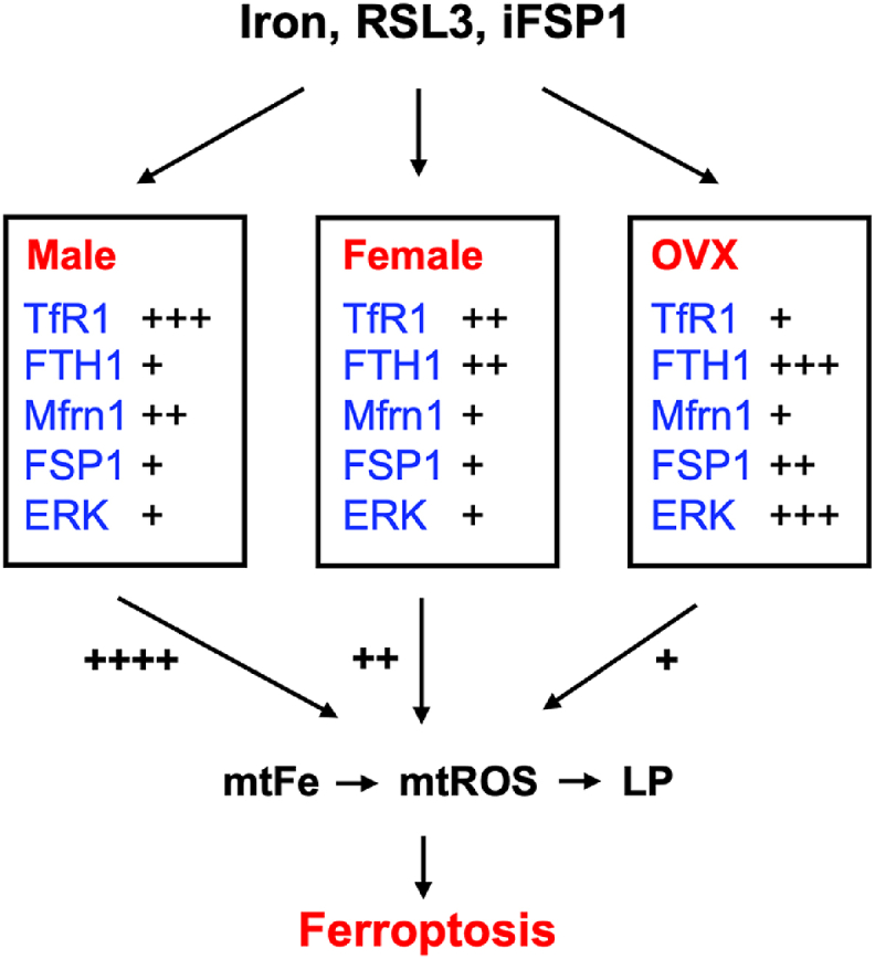 Fig. 9