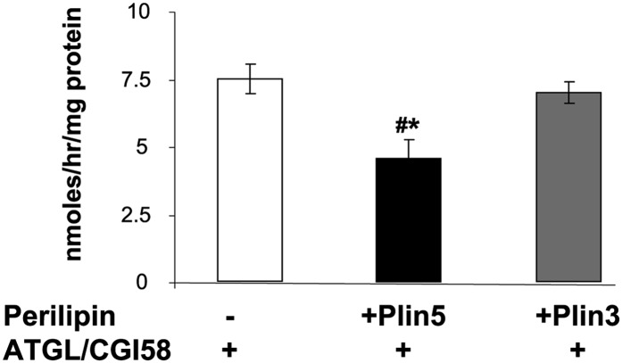 Fig. 7.