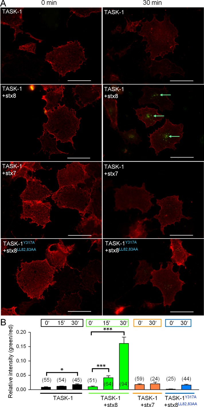 FIGURE 5: