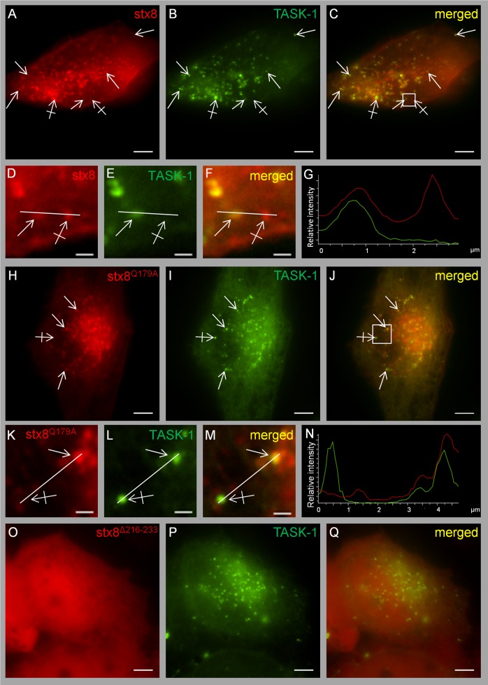 FIGURE 6: