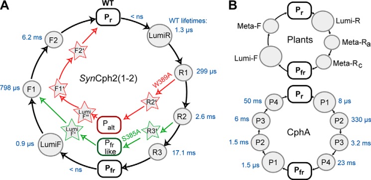 FIGURE 6.