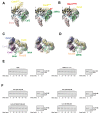 Figure 1—figure supplement 3.
