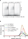 Figure 4—figure supplement 1.