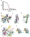 Figure 1—figure supplement 2.