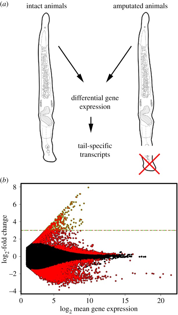 Figure 2.