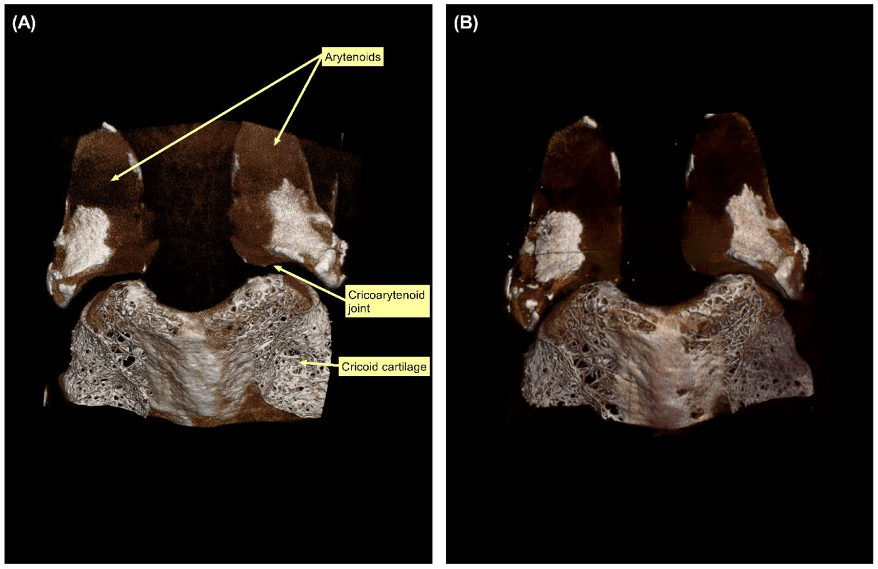 Figure 6: