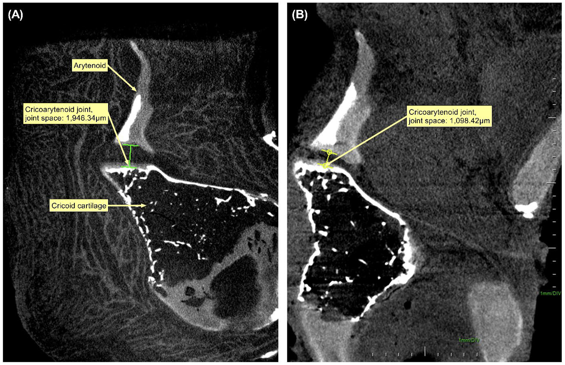 Figure 7: