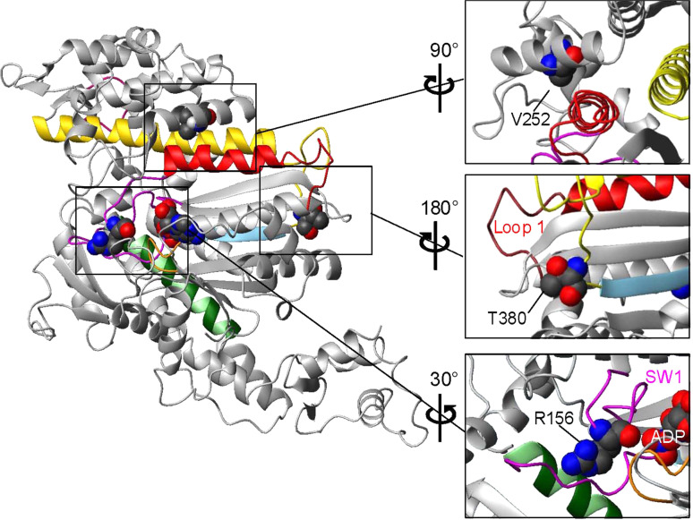 Fig. 3