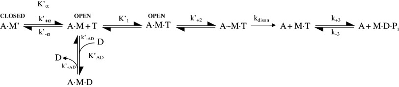 Scheme 2