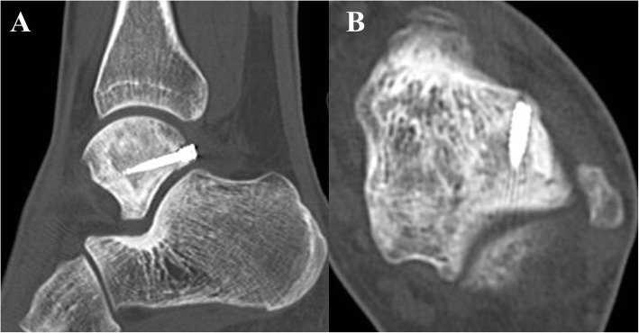 Fig. 5