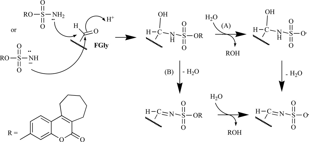 Fig. (4)