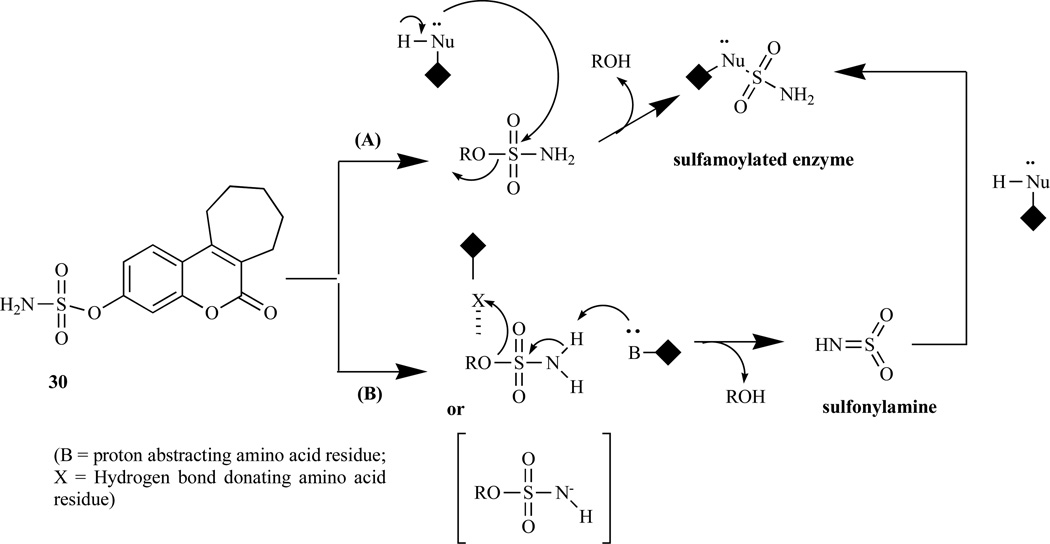 Fig. (6)