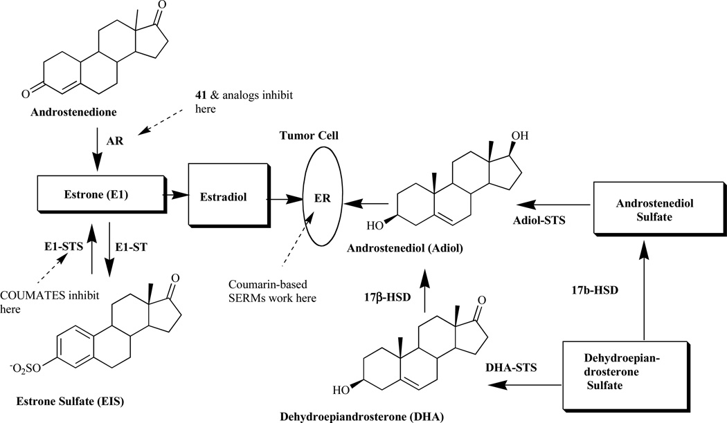 Fig. (2)