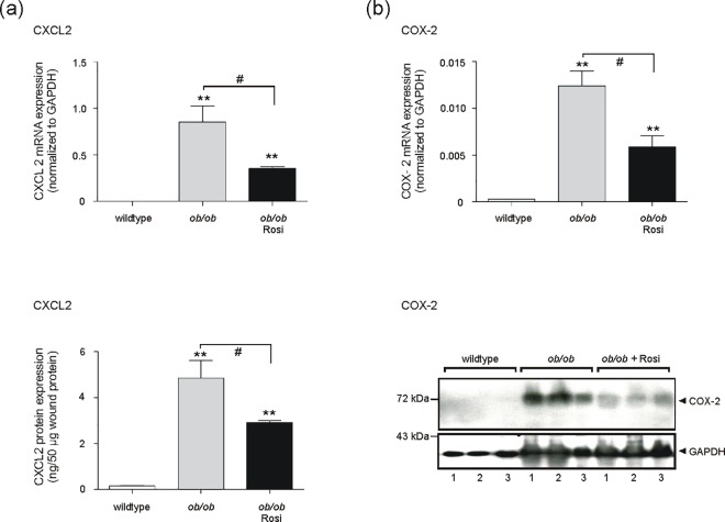 Fig 12