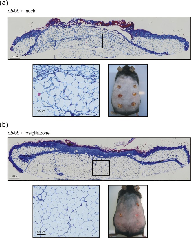 Fig 11