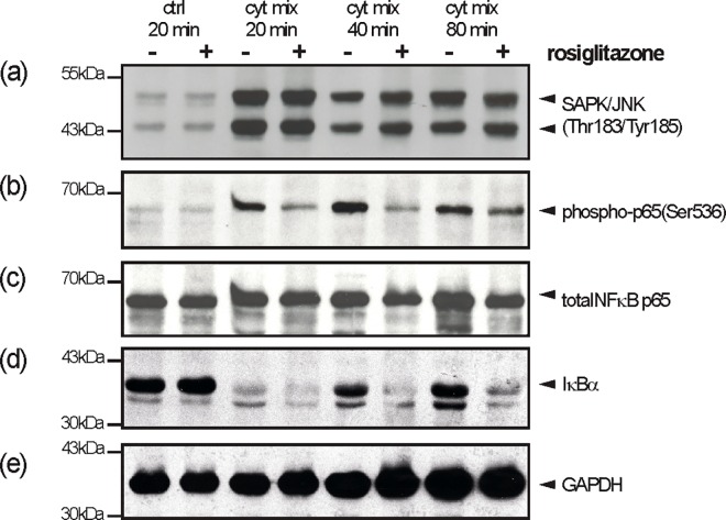 Fig 10