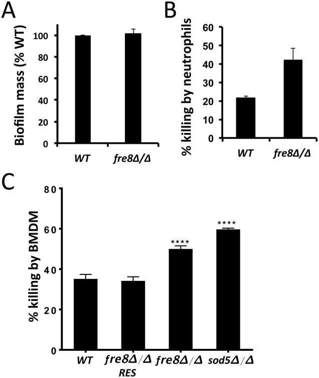 Fig 12