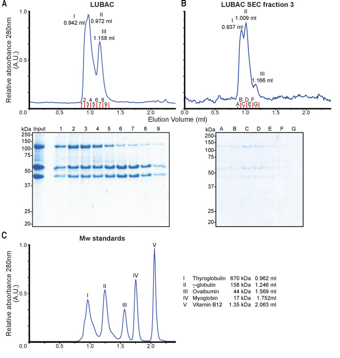 Figure 1—figure supplement 1.