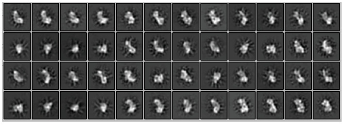 Figure 2—figure supplement 2.