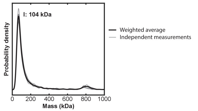 Figure 4—figure supplement 2.