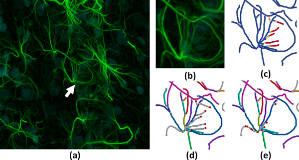 Figure 12