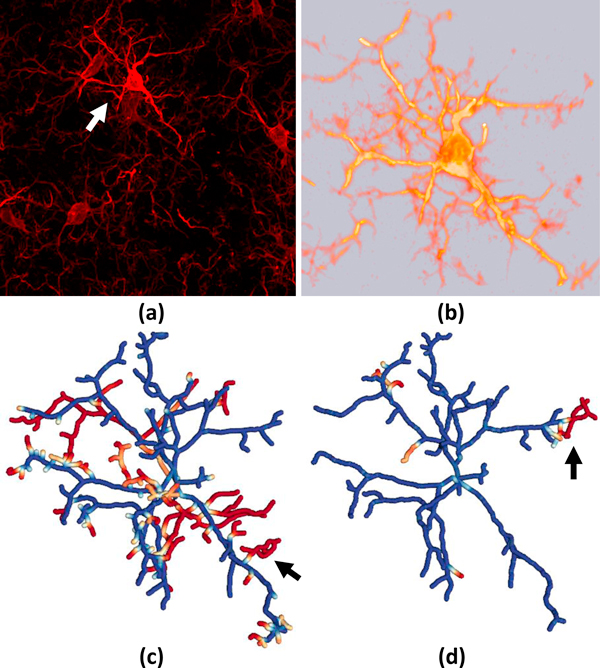 Figure 13