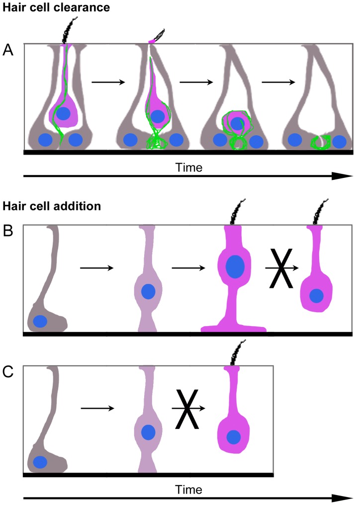 Figure 10.