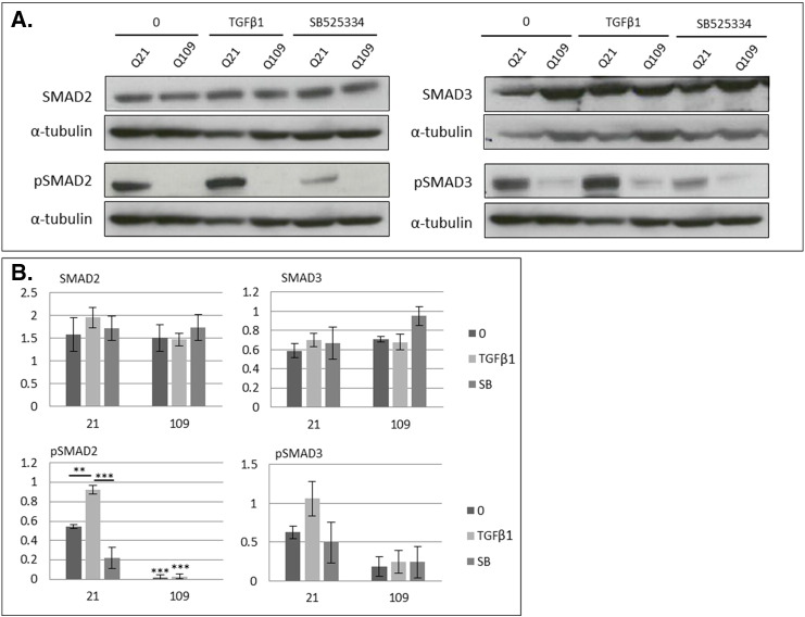 Supplementary Fig. 6