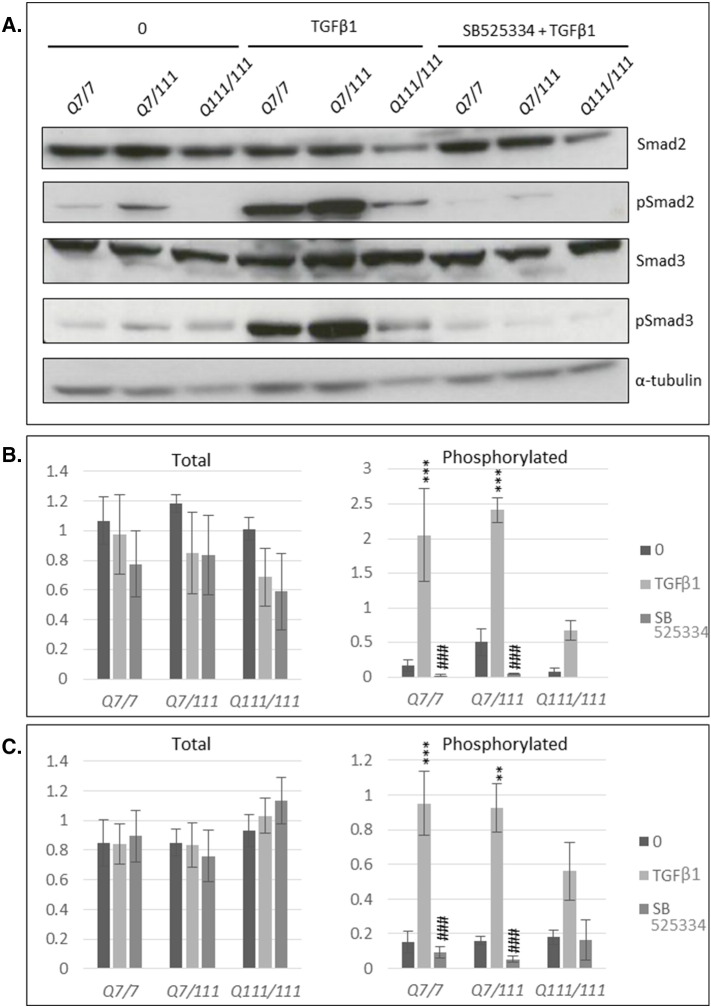 Supplementary Fig. 5