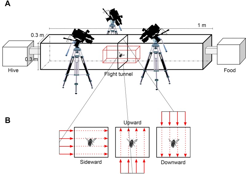 Fig. 7.