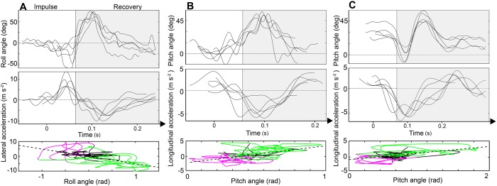 Fig. 5.