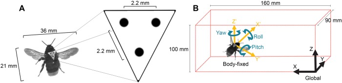 Fig. 8.